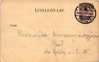 1900 Diósgyőr (Miskolc), várrom. Lővy József fia kiadása (fa)