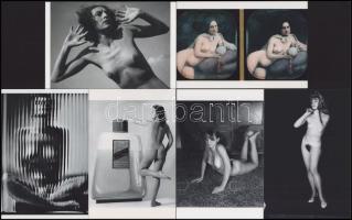 "Briliáns hölgyek lencsevégen", cca 1989 előtt készült, szolidan erotikus felvételek, 6 db modern nagyítás, jelzés nélkül, 15x10 cm és 10x15 cm