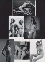 "Fotómodellek alkalmi találkája egy tételben", cca 1990 előtt készült, szolidan erotikus felvételek, 6 db modern nagyítás, jelzés nélkül, 15x10 cm