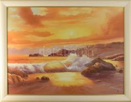 Temesvári Ferenc (1960-): Naplemente a tengerparton. Olaj, farost. Jelzett. Dekoratív fakeretben, 50×70 cm.