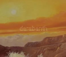 Temesvári Ferenc (1960-): Naplemente a tengerparton. Olaj, farost. Jelzett. Dekoratív fakeretben, 50...