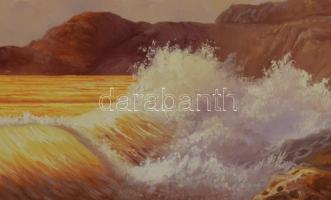 Temesvári Ferenc (1960-): Naplemente a tengerparton. Olaj, farost. Jelzett. Dekoratív fakeretben, 50...