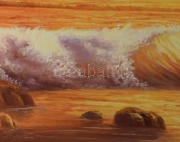 Temesvári Ferenc (1960-): Naplemente a tengerparton. Olaj, farost. Jelzett. Dekoratív fakeretben, 50...