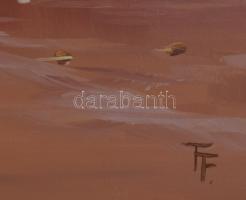 Temesvári Ferenc (1960-): Naplemente a tengerparton. Olaj, farost. Jelzett. Dekoratív fakeretben, 50...