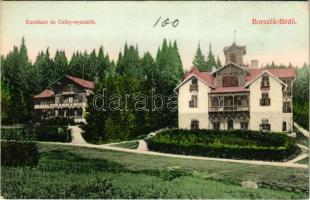 Borszék, Borsec; Excelsior és Csiky nyaralók. Divald Károly műintézete 1920-1908. / villas