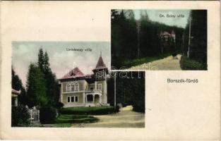 Borszék, Borsec; Dr. Sziny villa, Urmánczy villa / villas (EK)