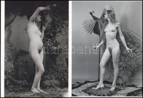 Eltérő időben és helyen készült, szolidan erotikus felvételek, 3 db modern nagyítás, jelzés nélkül, 21x15 cm