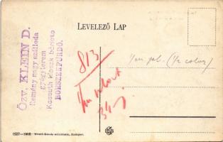 Borszék, Borsec; Valcsuk és Török nyaralók. Divald Károly műintézete 1927-1908. / villas + "Özv...