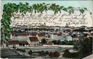 1908 Zatec, Saaz; Hopfenstadt. J. Wara / view. floral (creases)