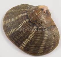 kagylóba faragott vallási medál 8 cm