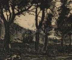 Élesdy István (1912-1987): Táj birkákkal. Rézkarc, papír, jelzett, kartonra kasírozva, kissé foltos,...