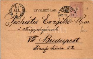 1900 Pozsony, Pressburg, Bratislava; látkép, gőzhajó, vár. Philipp &amp; Kramer Wien / view, ste...