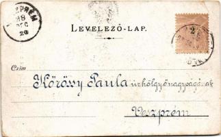 1898 Zólyom, Zvolen; Alsó piac a várral / main square, castle (EB)