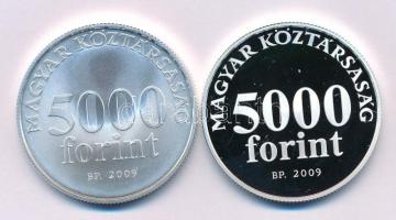 2009. 5000Ft Ag "Radnóti Miklós születésének 100. évfordulója" kapszulában, tanúsítvánnyal (2xklf) T:BU,PP Adamo EM220