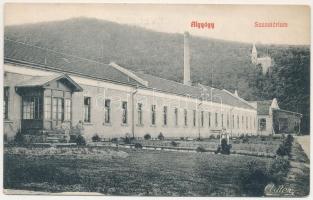 Algyógy, Geoagiul de jos, Geoagiu; M. kir. állami vasgyárak szanatóriuma. Adler fényirda (Szászváros) / sanatorium of the iron factory (EK)