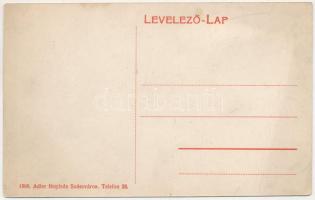 Algyógy, Geoagiul de jos, Geoagiu; M. kir. állami vasgyárak szanatóriuma. Adler fényirda (Szászváros...