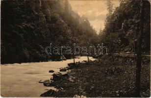 Szászsebes, Mühlbach, Sebesul Sasesc, Sebes; Sebeshelyer Gebirge, Siebenbürgen. Mühlbachtal / Sebes-völgy. H. Heitz kiadása / valley, riverside (EK)