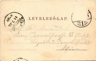 1900 Barcarozsnyó, Rozsnyó, Rasnov, Rosenau; vár. H. Zeidner kiadása / castle (EB)