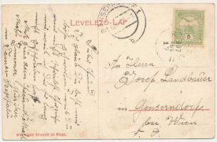 1907 Szépfalu, Sunava; Május elsejei ünnepség, gyerekek csoportképe. Kiadja Schmidt és Klepp / festi...