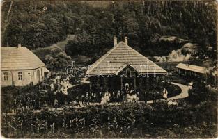 Ferencfalva, Franzdorf, Valiug (Resicabánya, Resita); Villa Veronika. Getini Sándor kiadása / villa (lyukak / holes)