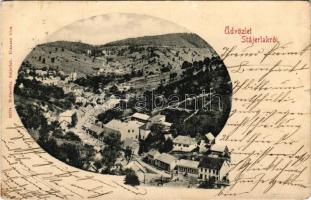 1903 Stájerlak, Stájerlakanina, Anina, Steierdorf; látkép. Hollschütz kiadása / general view, Art Nouveau (EB)