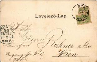 1903 Stájerlak, Stájerlakanina, Anina, Steierdorf; látkép. Hollschütz kiadása / general view, Art No...