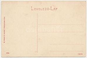 Felsőbánya, Baia Sprie; Római katolikus leánynevelő intézet. W.L. (?) H. Riedl E. kiadása 2350. / gi...