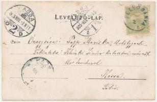 1905 Felsőbánya, Baia Sprie; lakóház / house. photo (fl)