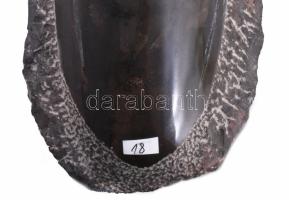 Nagyméretű polírozott fosszília, 25x12 cm