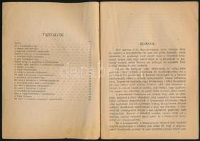 1919 Bp., Tanácsköztársaság, "Mit adott a forradalom?", 30p