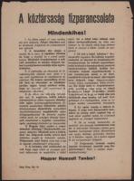 1919 Tanácsköztársaság, "A köztársaság tízparancsolata", a Magyar Nemzeti Tanács röplapja