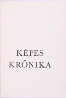 Képes Krónika. A magyarok régi és legújabb tetteiről, eredetükről és növekedésükről, diadalaikról és...