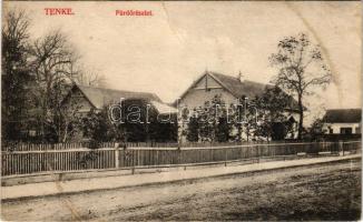 1914 Tenke, Tinca; Fürdő részlet. Ritter Jakab kiadása / spa, bathhouse (fa)