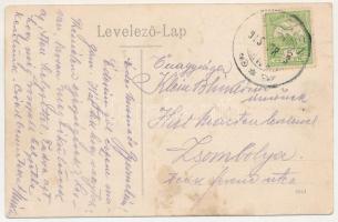 1915 Temesjenő, Margitfalva, Janova, Ianova; A. Reichert üzlete / Warenhaus A. Reichert / shop of Re...