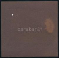 cca 1915-1920 Israel Friedman (1796-1850) haszid rabbi kastélya Sadagorában (Ukrajna, Sadhora) katon...