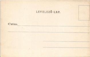 Kolozsvár, Cluj; Bánffy palota, Jeney Lajos üzlete. Kováts P. fiai kiadása / palace, shops (EK)