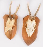 2 darab trófea, fa talpon, h: 33 cm alatt