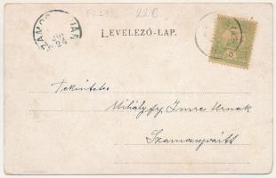 1903 Magyarlápos, Oláhlápos, Targu Lapus; templom. F. Schöler / church (EM)