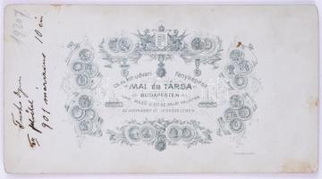 1901 Kislány játéklóval, műtermi portré, keményhátú fotó Mai és Társa budapesti műterméből, 15×8 cm
