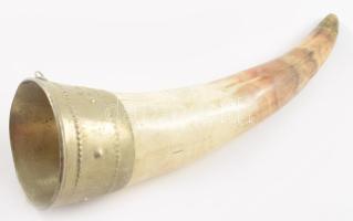 Szarv díszkürt, h: 18 cm