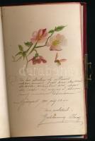 1900-1913 Bp., emlékkönyv bejegyzésekkel, rajzokkal, egy lapon beragasztott hajtinccsel, fémveretekk...