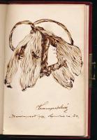 1900-1913 Bp., emlékkönyv bejegyzésekkel, rajzokkal, egy lapon beragasztott hajtinccsel, fémveretekk...