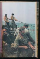 Bertha Bulcsu: Balatoni évtizedek. DEDIKÁLT! Bp.,1984.,Szépirodalmi. 3. kiadás. Kiadói egészvászon-k...