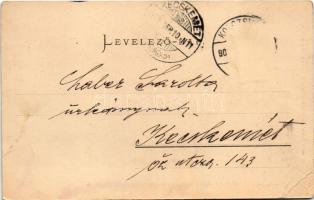 1903 Kolozsvár, Cluj; Ferenc József Iparmúzeum a városi polgári iskolával. Schuster Emil kiadása / I...