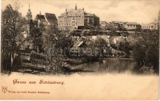 Segesvár, Schässburg, Sighisoara; látkép. Fritz Teutsch kiadása / general view