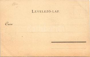 Segesvár, Schässburg, Sighisoara; látkép. Fritz Teutsch kiadása / general view