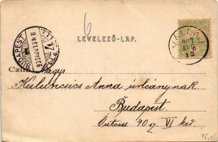 1903 Nagykároly, Carei; Gróf Károlyi kastély társalgó terme, belső. Csókás László kiadása / castle i...