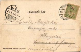 1905 Nagykároly, Carei; Deák Ferenc tér, Pucser Károly, Klein József, Janitzky Albert, Rubletzky Ign...