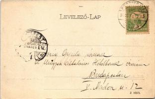 1903 Beszterce, Bistritz, Bistrita; látkép. Theodor Botschar kiadása / general view (EK)