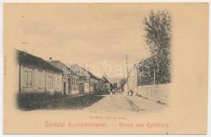 Gyulafehérvár, Karlsburg, Alba Iulia; Bethlen Gábor utca. Atelier Bach / street view (apró szakadások / tiny tears)